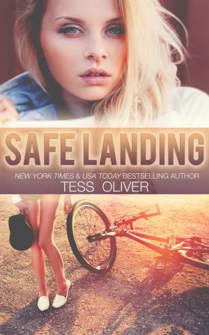 Book cover of Safe Landing