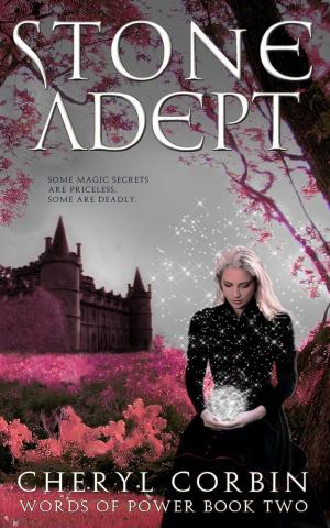 Cover of the book Stone Adept by Patricia Hamill
