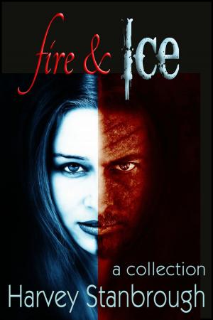 Cover of the book Fire & Ice by Madalain Ackley