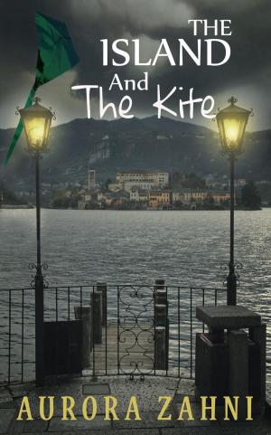 Book cover of The Island and the Kite
