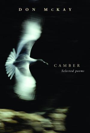 Cover of the book Camber by Wetdryvac