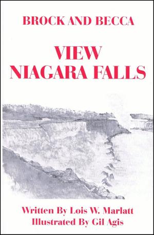 Cover of Brock and Becca: View Niagara Falls
