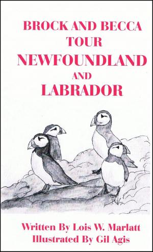 Cover of the book Brock and Becca: Tour Newfoundland and Labrador by Dr. Verdun Trione