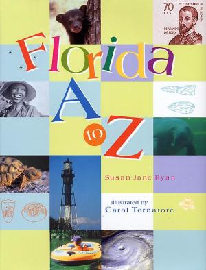 Cover of Florida A to Z