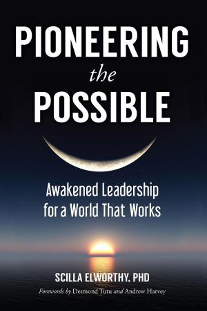 Book cover of Pioneering the Possible