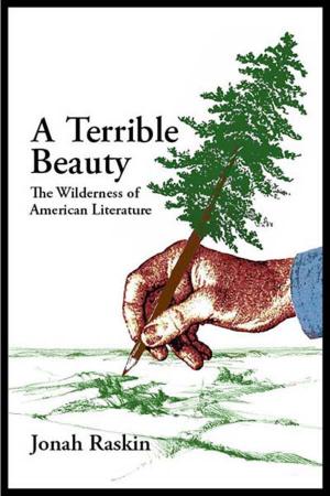 Cover of the book A Terrible Beauty by Auður  Ava Ólafsdóttir