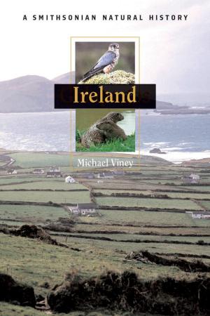 Cover of the book Ireland by James M. Goode, Steven Knapp