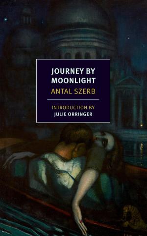 Cover of the book Journey by Moonlight by 