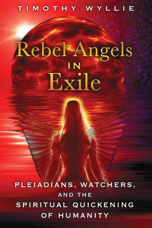 Book cover of Rebel Angels in Exile