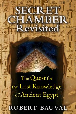Book cover of Secret Chamber Revisited