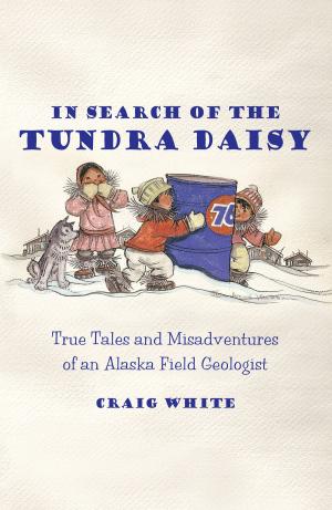 Cover of the book In Search of the Tundra Daisy by Magdel, Roets
