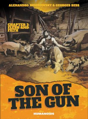 Book cover of Son of the Gun #3 : Flesh and Filth