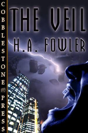 Cover of the book The Veil by Lillith Payne