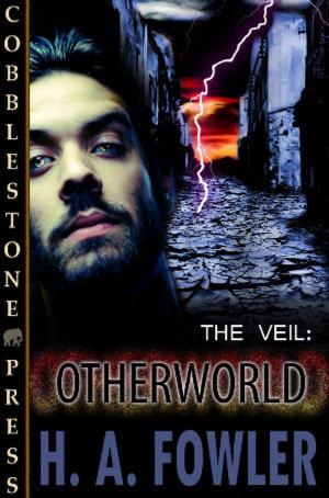 Cover of the book The Veil: Otherworld by J.D. Perry