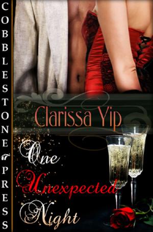 Cover of the book One Unexpected Night by Jessa Ely