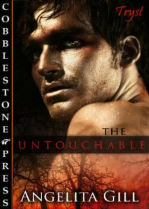 Cover of the book The Untouchable by NJ van Vugt