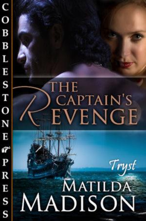 Cover of the book The Captain's Revenge by Lyric James