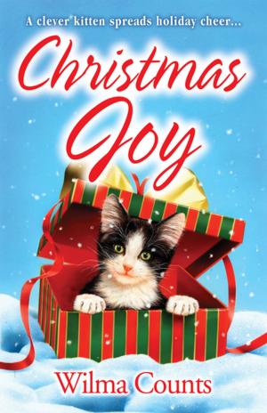 Cover of the book Christmas Joy by Shannyn Schroeder