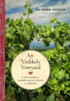 Cover of the book An Unlikely Vineyard by Bruce E. Levine, Ph.D.
