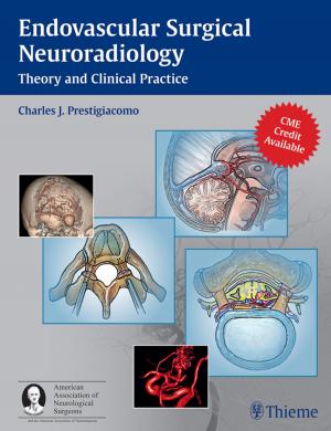 Cover of the book Endovascular Surgical Neuroradiology by Hans-Peter Mueller