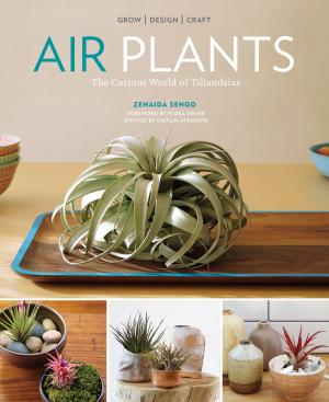 Cover of the book Air Plants by John Shewey, Tim Blount