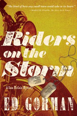 Cover of the book Riders on the Storm: A Sam McCain Mystery by Mary Kingslayer