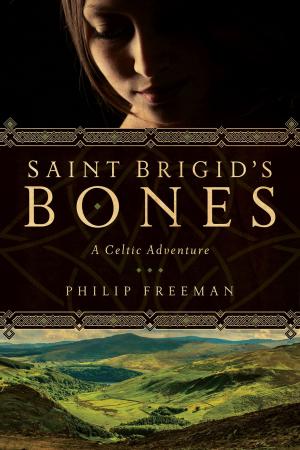 Cover of the book Saint Brigid's Bones: A Celtic Adventure (Sister Deirdre Mysteries) by Elizabeth Speller