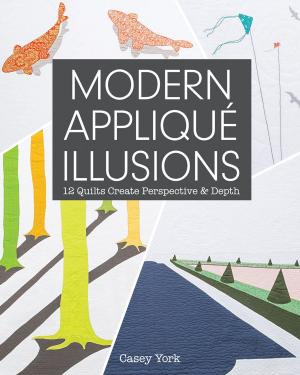 Cover of the book Modern Appliqué Illusions by Alex Anderson, Sharyn Craig, Carol Doak, Nancy Johnson-Srebro, Ruth B. McDowell