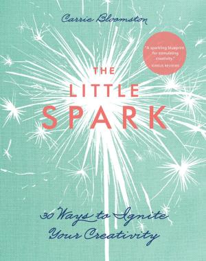 Cover of the book The Little Spark—30 Ways to Ignite Your Creativity by Becky Goldsmith