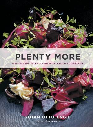 Cover of the book Plenty More by Stephen Lean