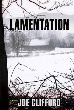 Cover of the book Lamentation by Jesse Zaraska