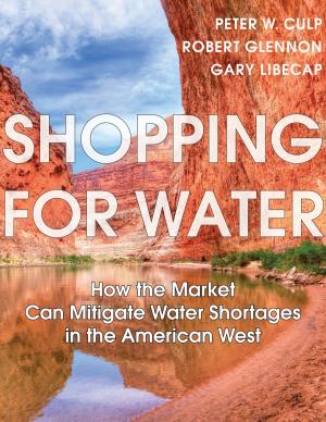 Cover of the book Shopping for Water by Kathryn A. Kohm, William Reffalt
