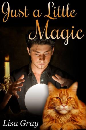 Cover of the book Just a Little Magic by Joann Lee