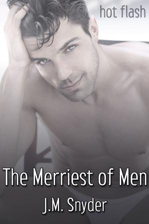 Cover of the book The Merriest of Men by Drew Hunt