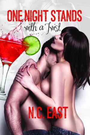 Cover of the book One Night Stands With a Twist by Olivia March