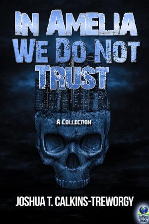 Cover of the book In Amelia We Do Not Trust by Jim Newell
