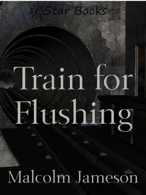 Book cover of Train for Flushing