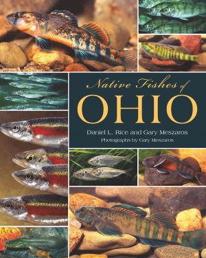 Cover of the book Native Fishes of Ohio by Richard L. Kiper