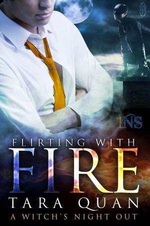 Cover of the book Flirting With Fire by I.D. Blind