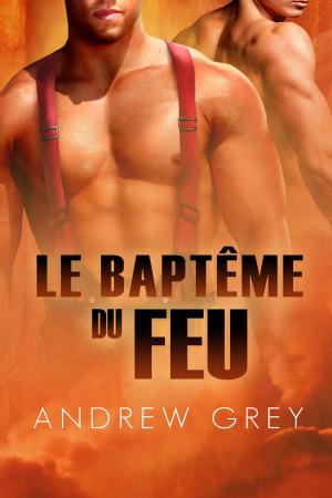 Cover of the book Le baptême du feu by Andrew Grey