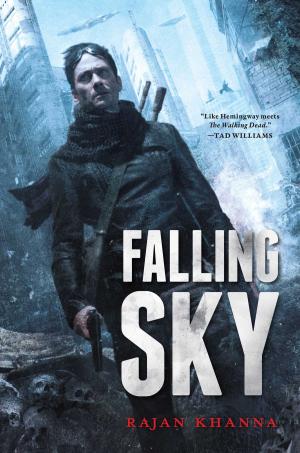 Cover of the book Falling Sky by Joel Shepherd