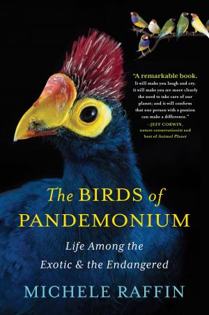 Cover of the book The Birds of Pandemonium by Kelly Jensen
