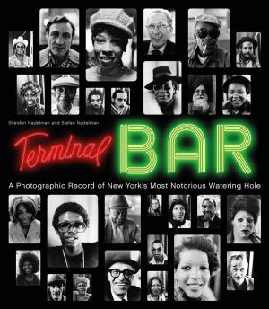bigCover of the book Terminal Bar by 