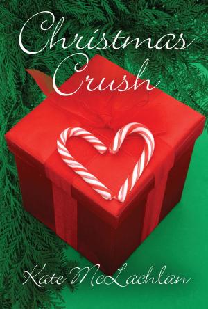 Cover of the book Christmas Crush by J.S. Frankel