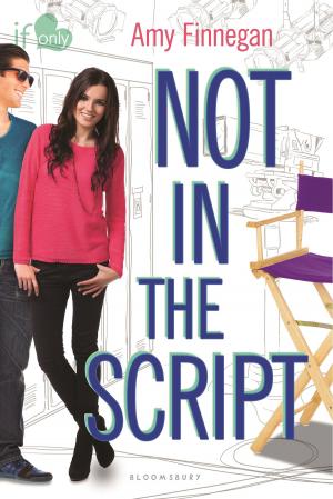 Cover of the book Not in the Script by Daniel Mersey