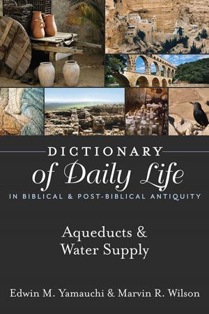bigCover of the book Dictionary of Daily Life in Biblical & Post-Biblical Antiquity: Aqueducts & Water Supply by 