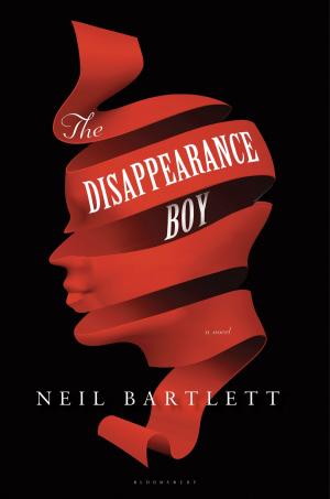 Cover of the book The Disappearance Boy by Larry Murray