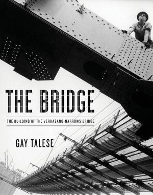 bigCover of the book The Bridge by 