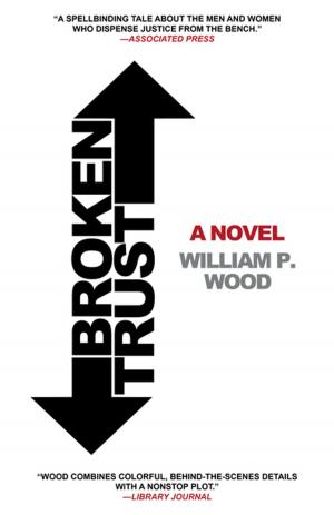 Cover of the book Broken Trust by Douglas E. Brown, Kaori A. Brown