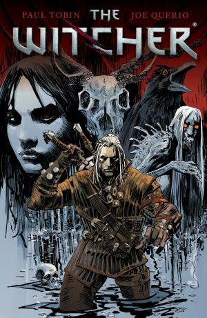 bigCover of the book The Witcher Volume 1 by 